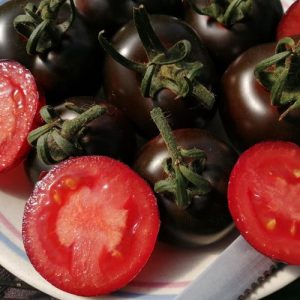 American Blue Tomato