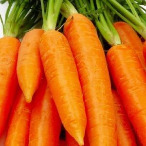 Chantenay Pink Cored Carrots – 2 Pack