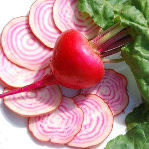 Chioggia Beetroot