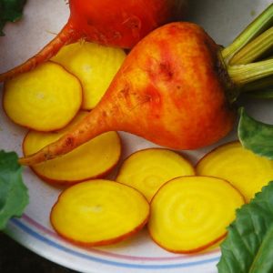 Golden Beetroot